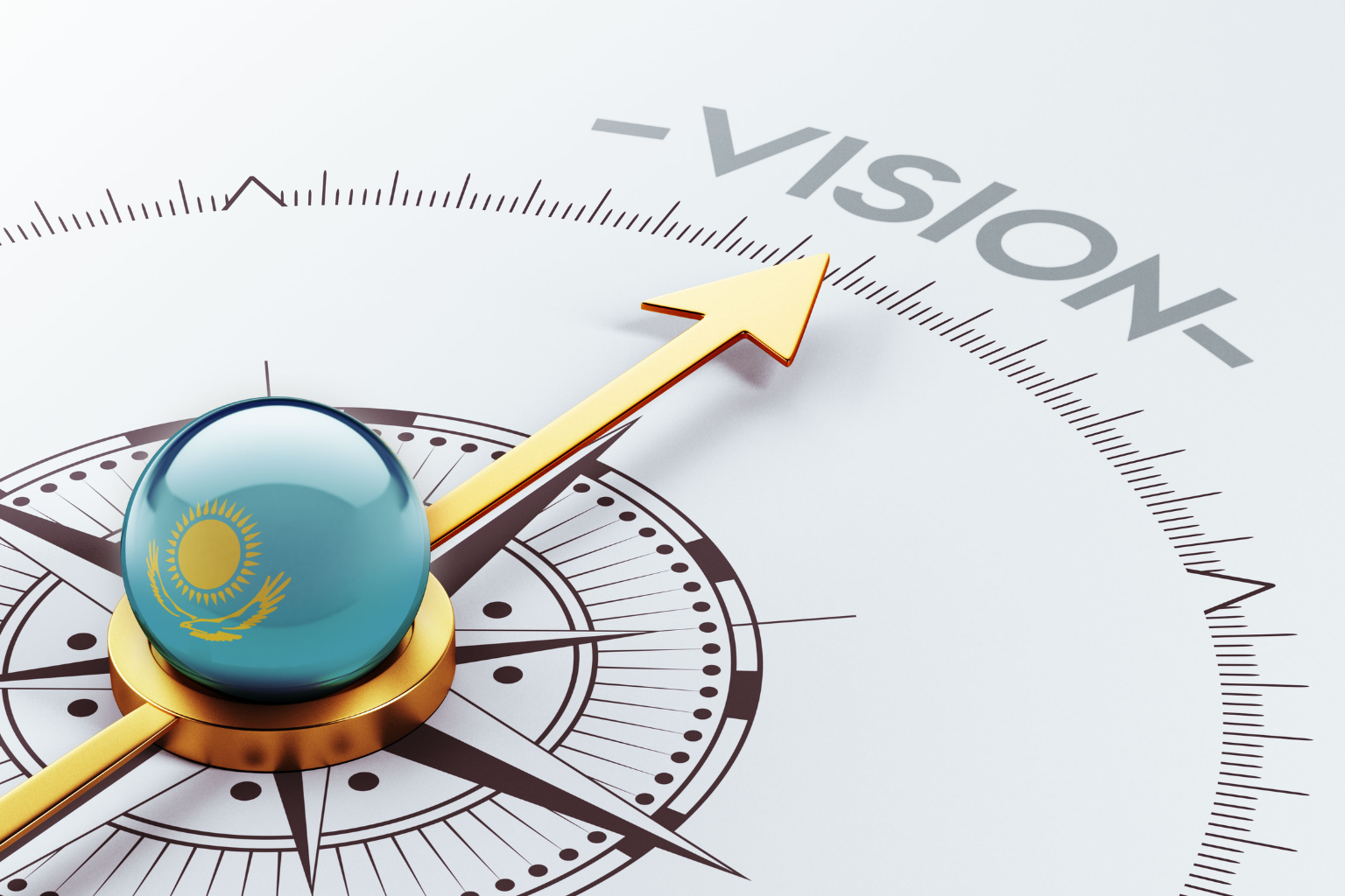 R.V. Fibre Vision